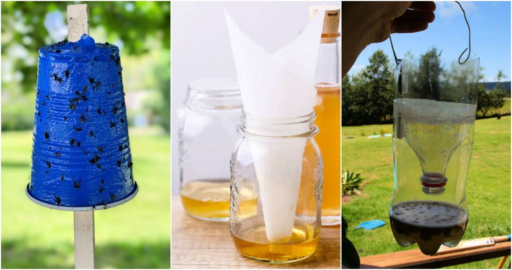 easy homemade fly trap recipes