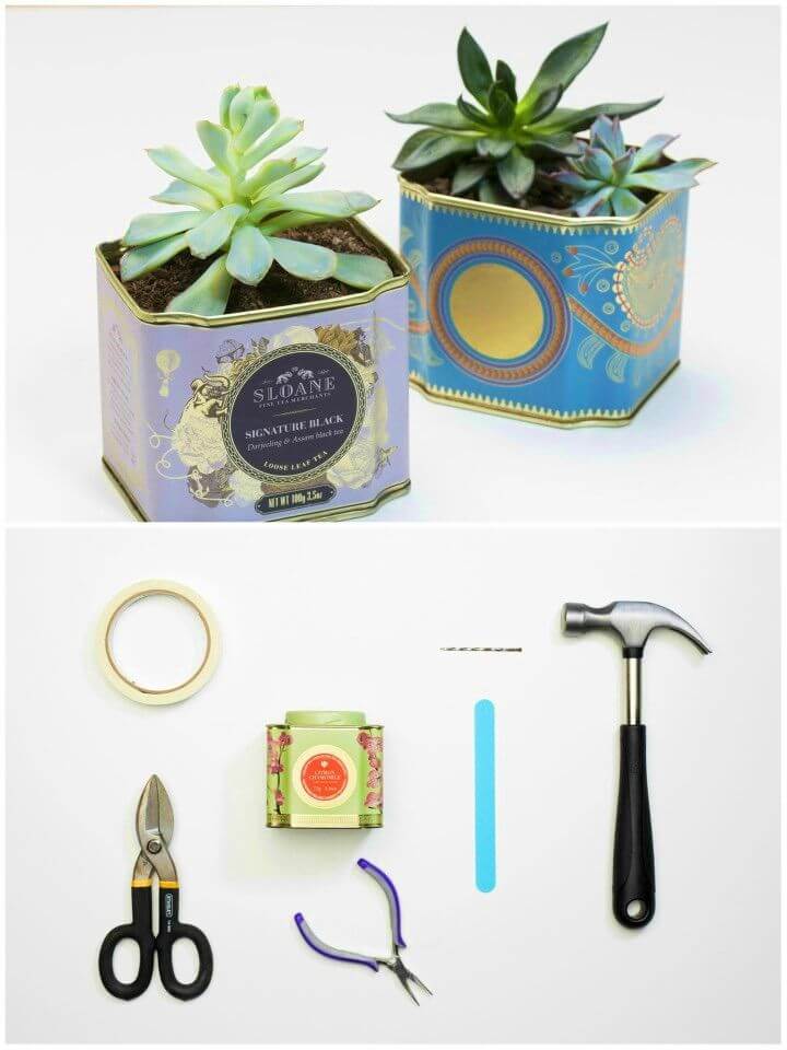 How to Make Tea Tin Planters