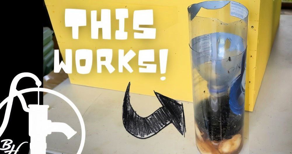 making a fly trap step by step