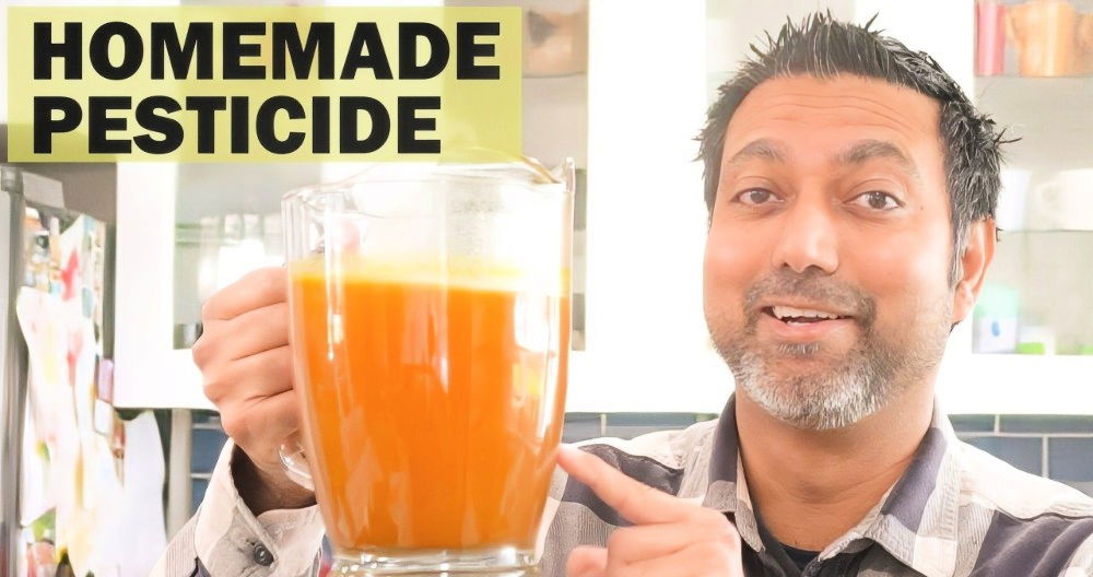 natural homemade pesticides